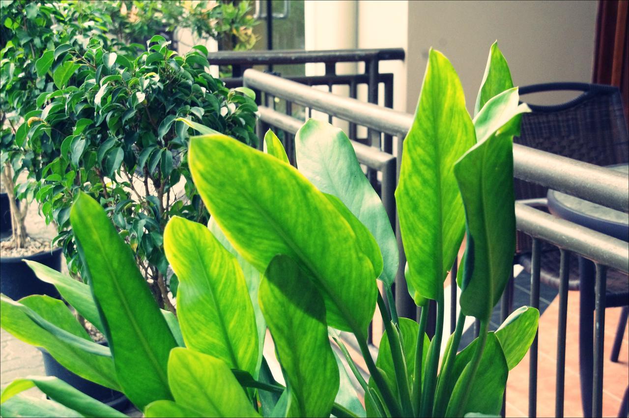 Citi Serviced Apartments & Motel - Lagatoi Place 莫尔兹比港 外观 照片